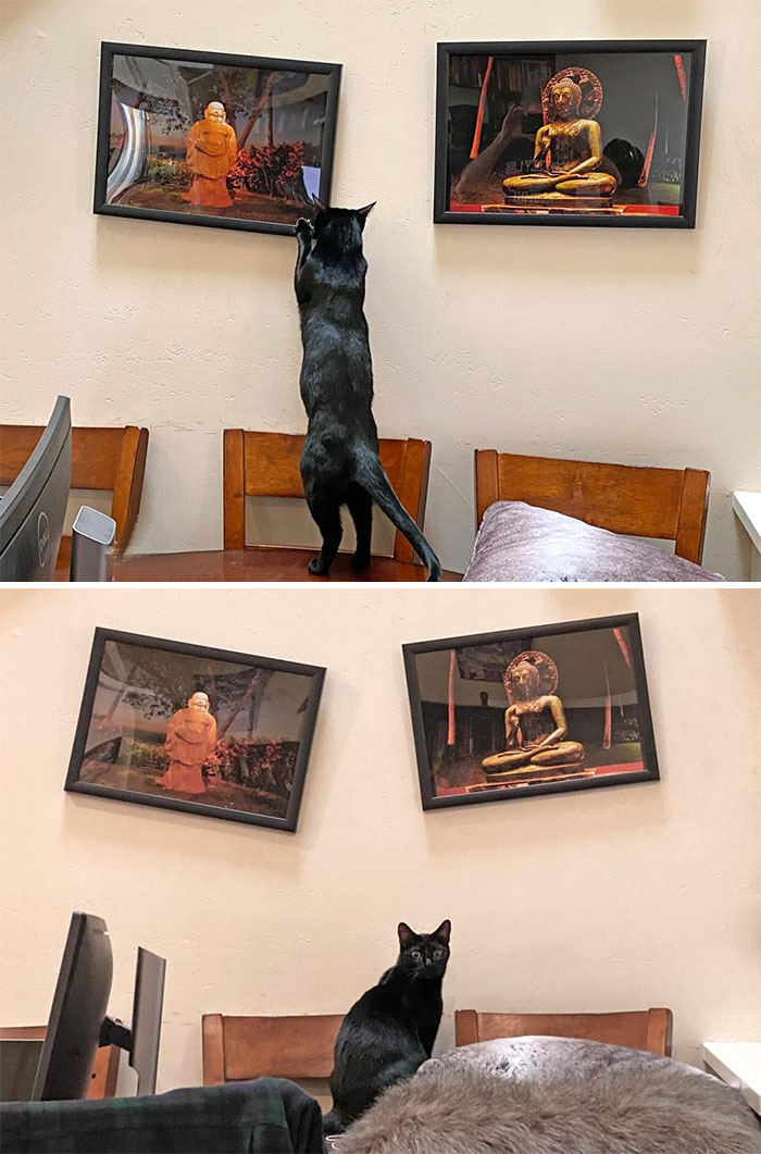 (Fonte: Reddit - mikenmar/Reprodução)