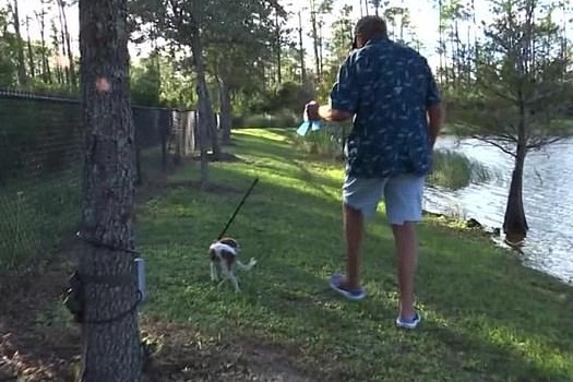 Wilbanks caminha com Gunner próximo ao lago do ataque.