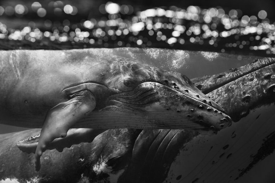 (Fonte: Jem Creswell)
