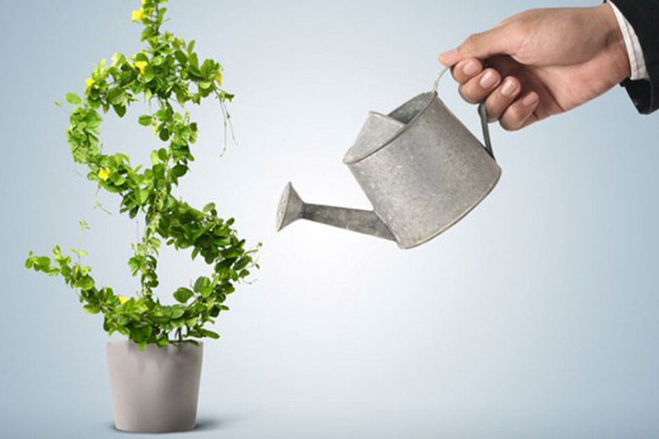 83% das startups brasileiras apoiam desenvolvimento sustentável