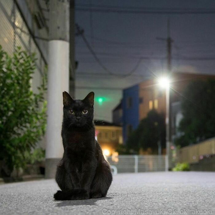 (Fonte: Instagram/okirakuoki/Reprodução)