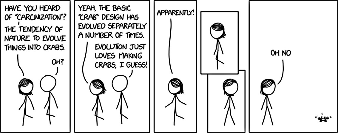 Fonte: xkcd/Twitter/Reprodução