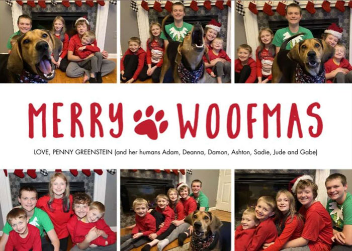 @pennythecoonhound/Instagram
