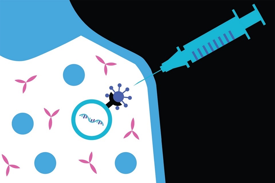 Como são feitas as vacinas que usam os genes do vírus a nosso favor