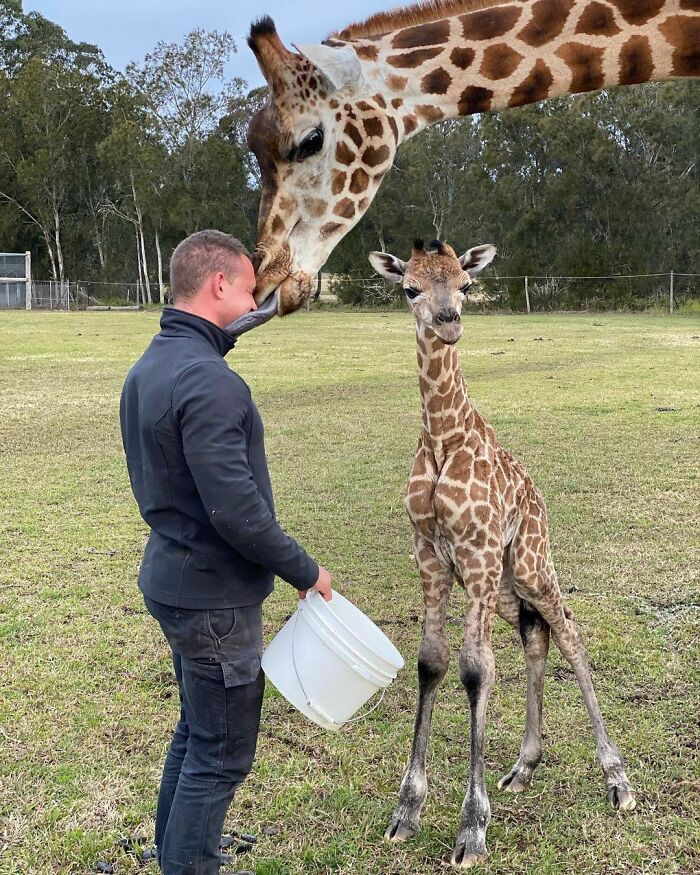 (Fonte: Instagram - Zookeeper Chad/Reprodução)