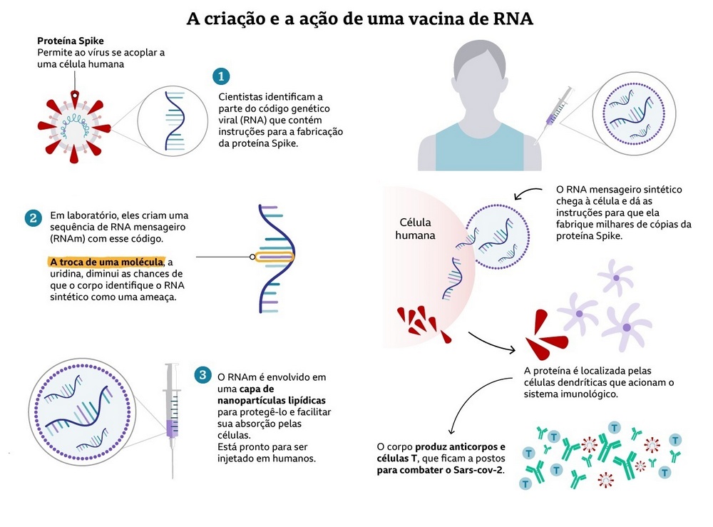 Como São Feitas As Vacinas Que Usam Os Genes Do Vírus A Nosso Favor ...