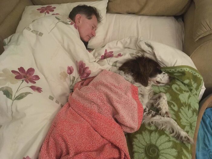 @spikethespringer/Instagram