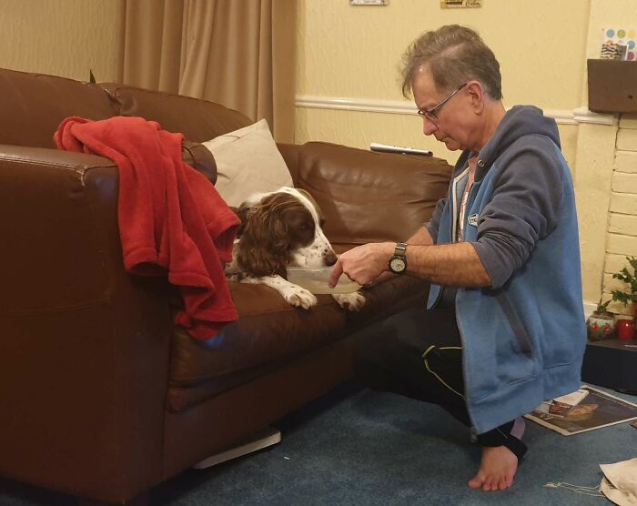 @spikethespringer/Instagram