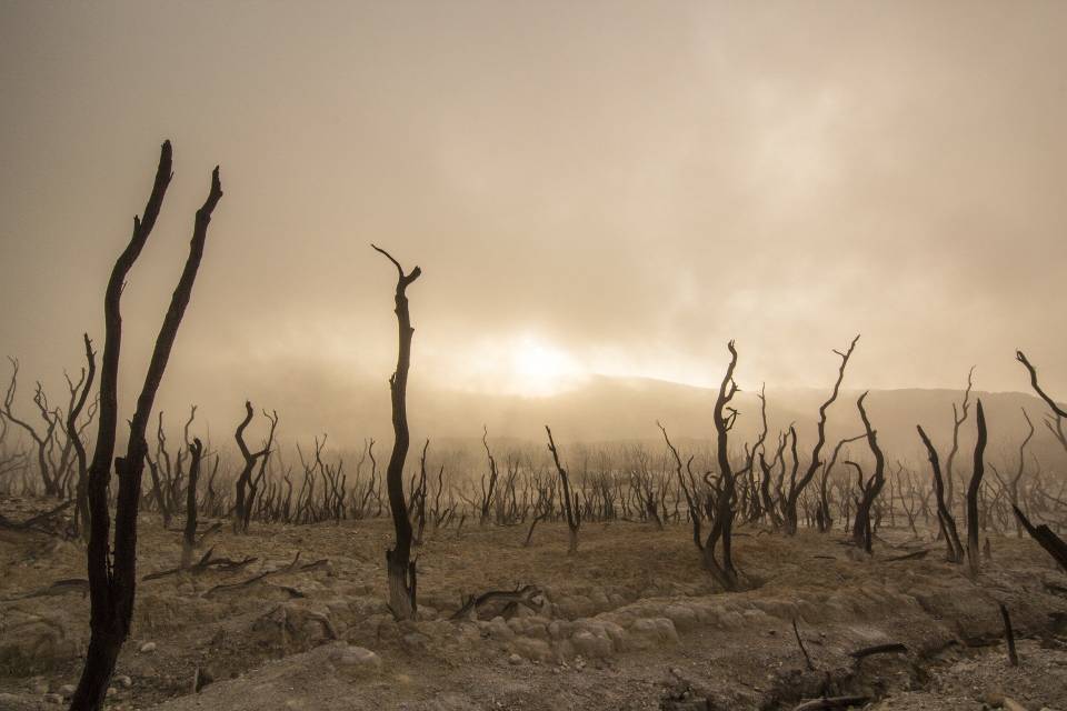 Terra está 'morrendo' rápido demais, indicam pesquisadores