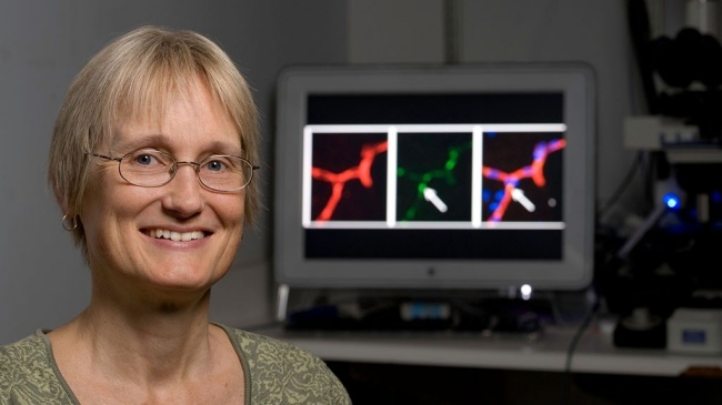 Stanford professor Katrin Andreasson led the research team responsible for the experiment.