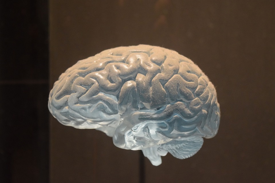 Estudo revela método para reverter o envelhecimento do cérebro