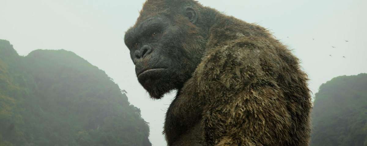 Imagem de: Netflix anuncia animações baseadas em Tomb Raider e Kong: A Ilha da Caveira