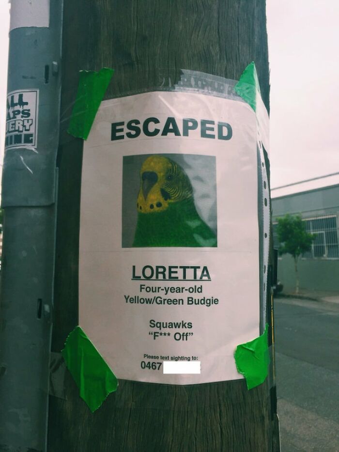 (Fonte: SydneyTom - Reddit / Reprodução)