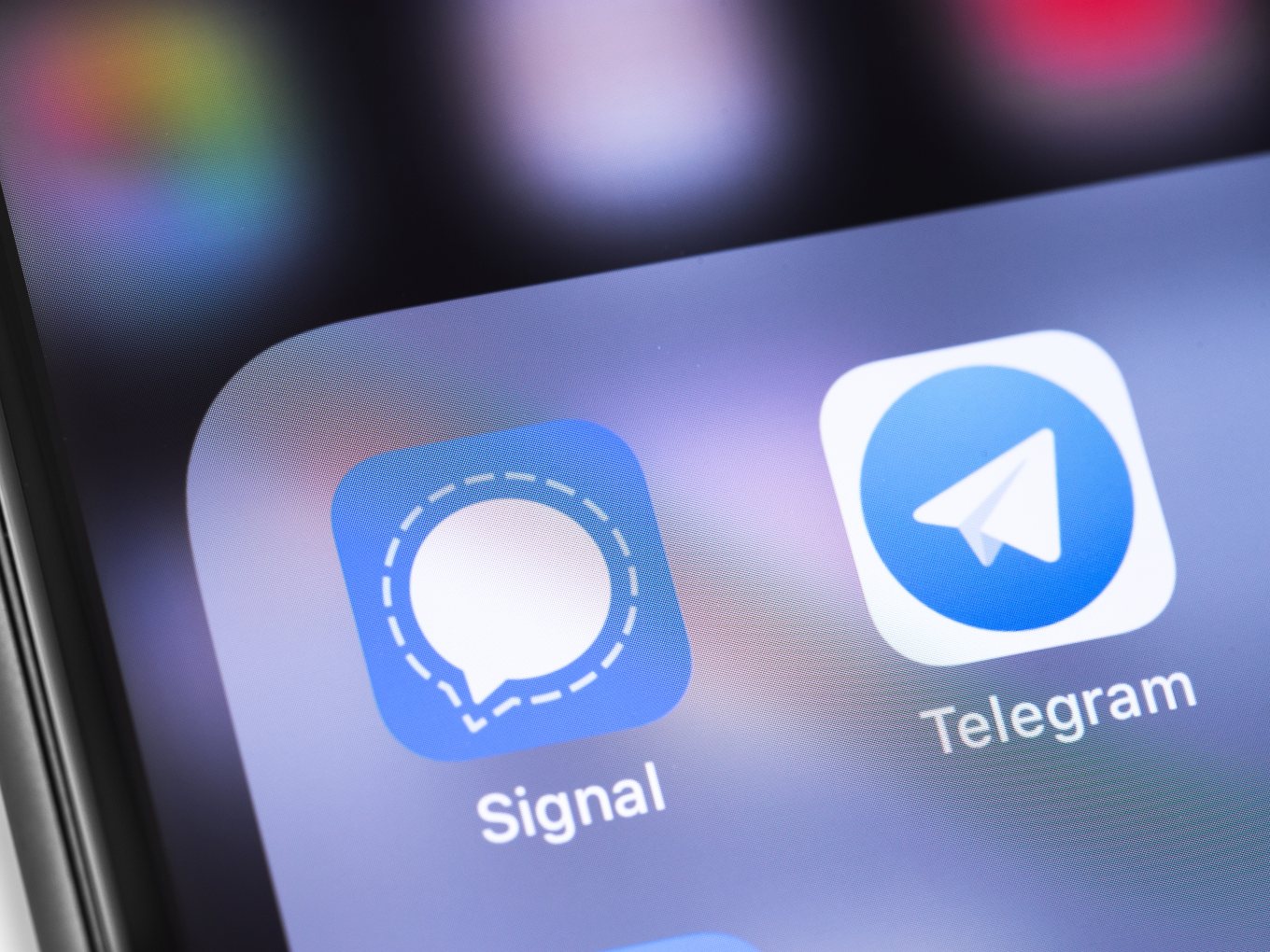 Telegram and Signal debut new features to attract new users.