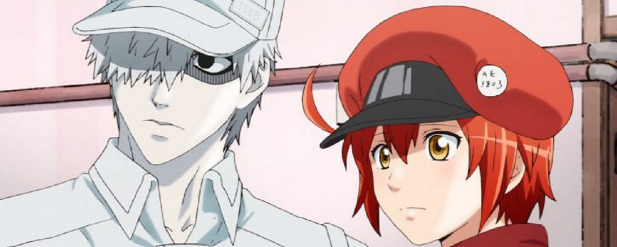 Imagem de: Cells at Work!: anime ficará disponível no streaming Crunchyroll