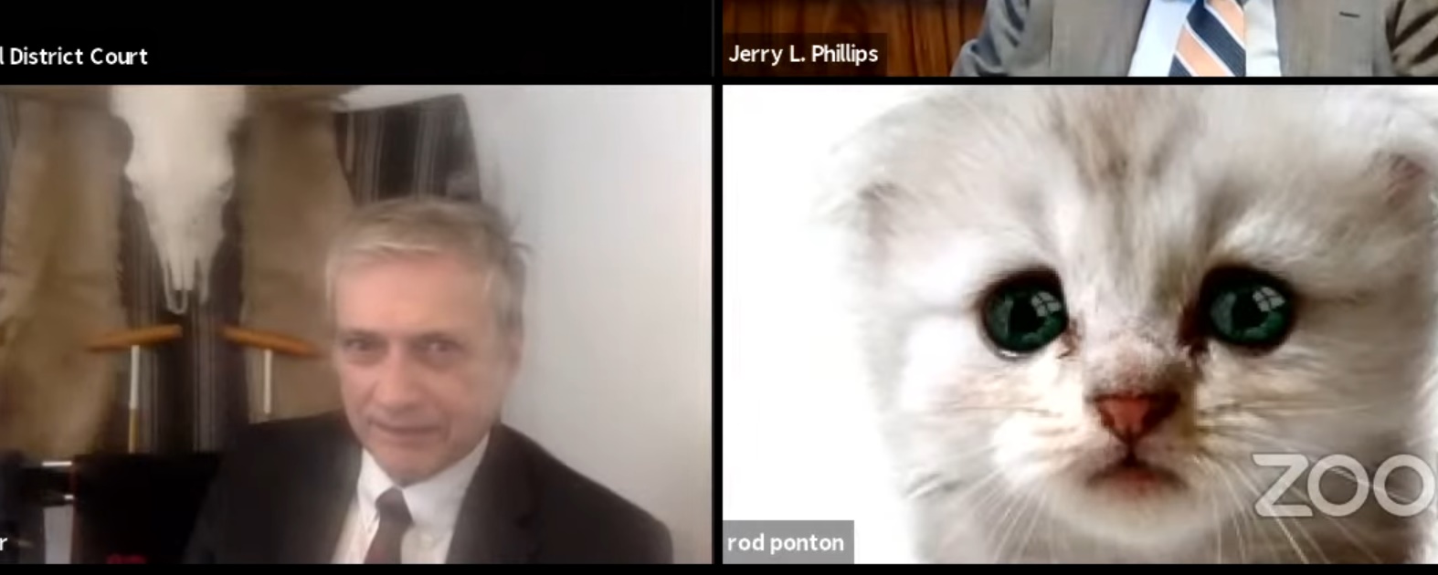 Imagem de: Advogado entra em audiência online usando filtro de gatinho nos EUA