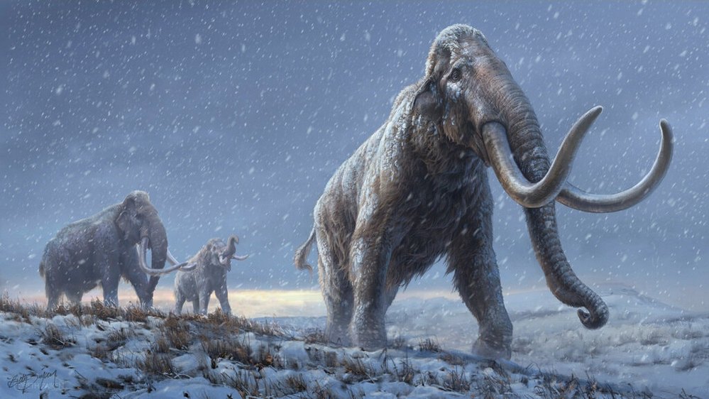 The Krestovka mammoth.