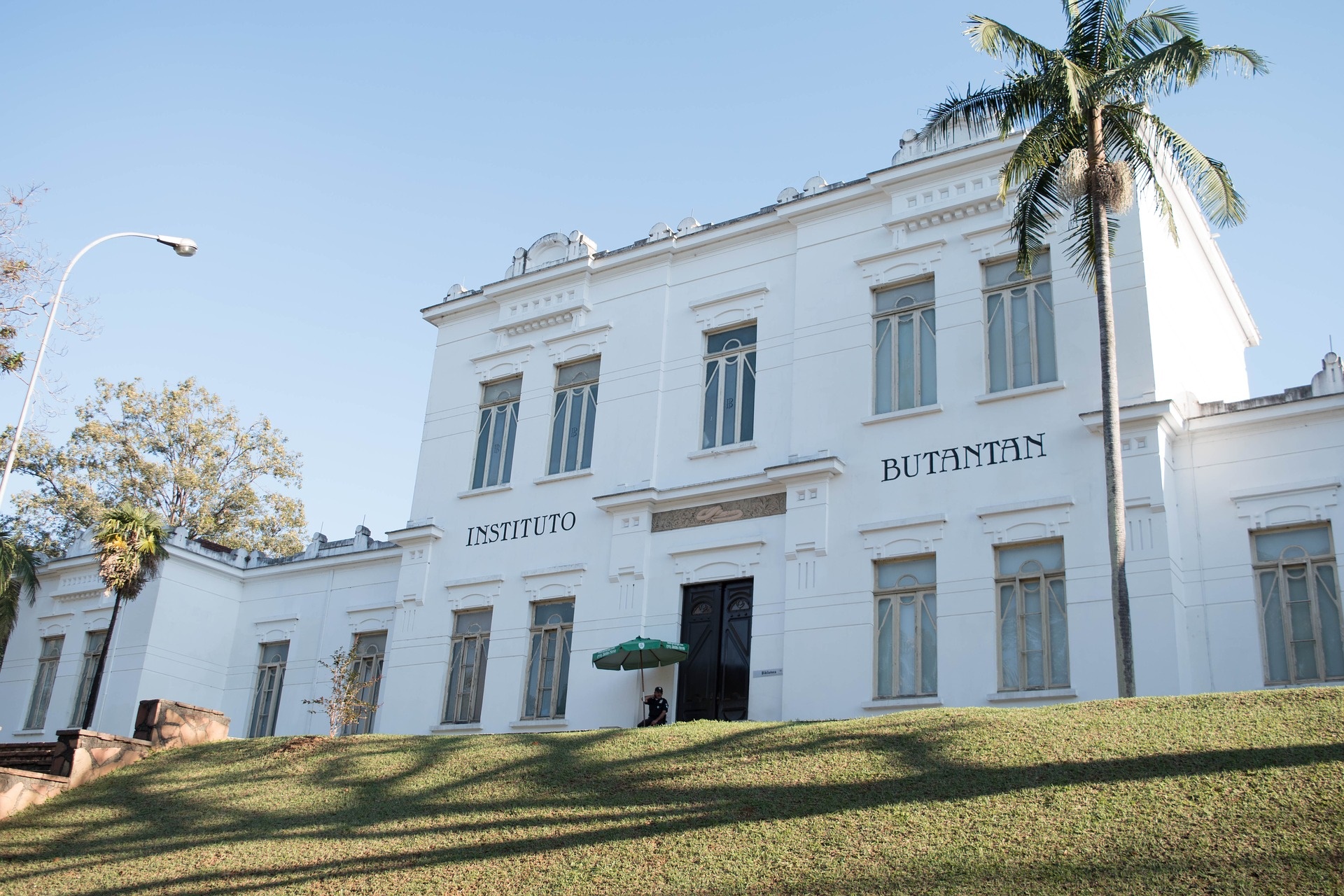 Instituto Butantan anuncia app para monitorar covid-19 nas cidades