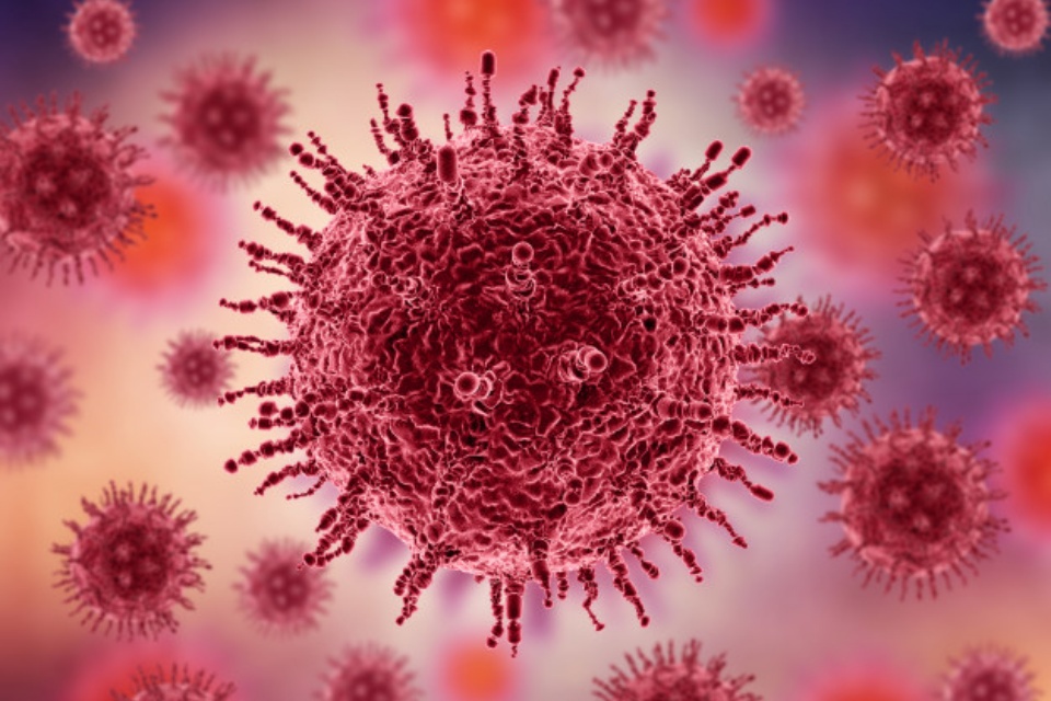 Variante brasileira do coronavírus pode causar reinfecção