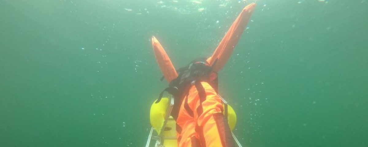 Robô salva-vidas reconhece afogamentos e ajuda pessoas sozinho - TecMundo