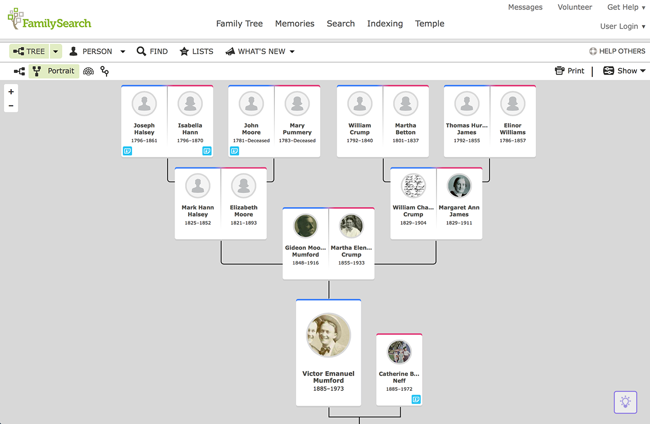 FamilySearch interface. (Source: FamilySearch / Reproduction)