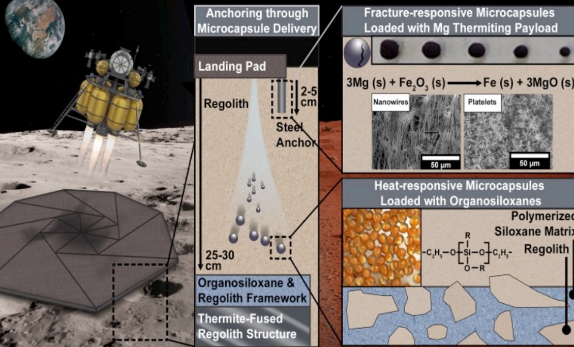 Regolith Adaptive Modification System to Support Early Extraterrestrial Planetary Landings