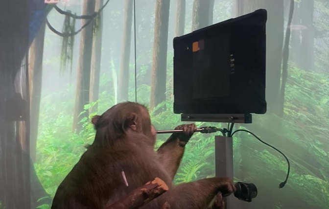 'Rudimentar': cientista detona testes do Neuralink com macaco
