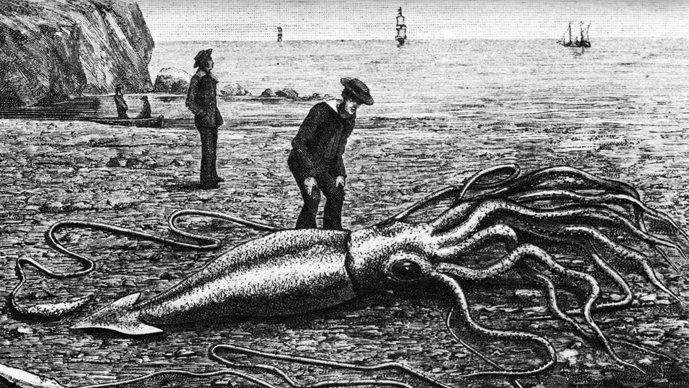 O lendário monstro marinho conhecido como Kraken (na verdade, uma lula gigante), encontrado na província canadense de Terra Nova e Labrador, em 1877.