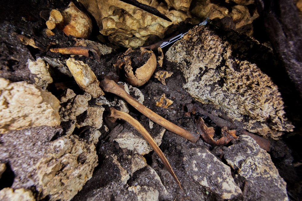 Human remains of individuals of different ages were found on the floor of two chambers.