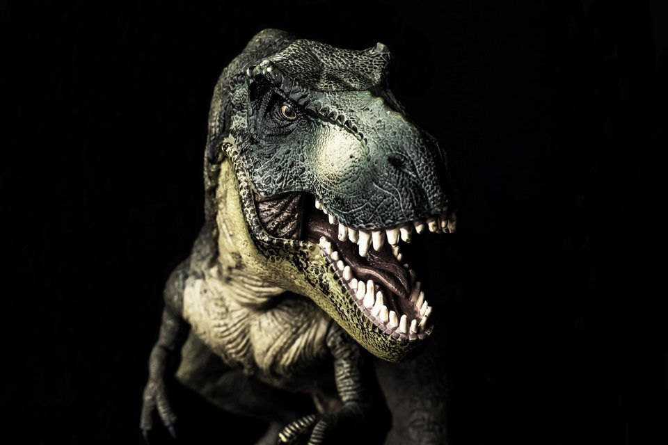 Tyrannosaurus rex: cerca de 2,5 bilhões andaram sobre a Terra