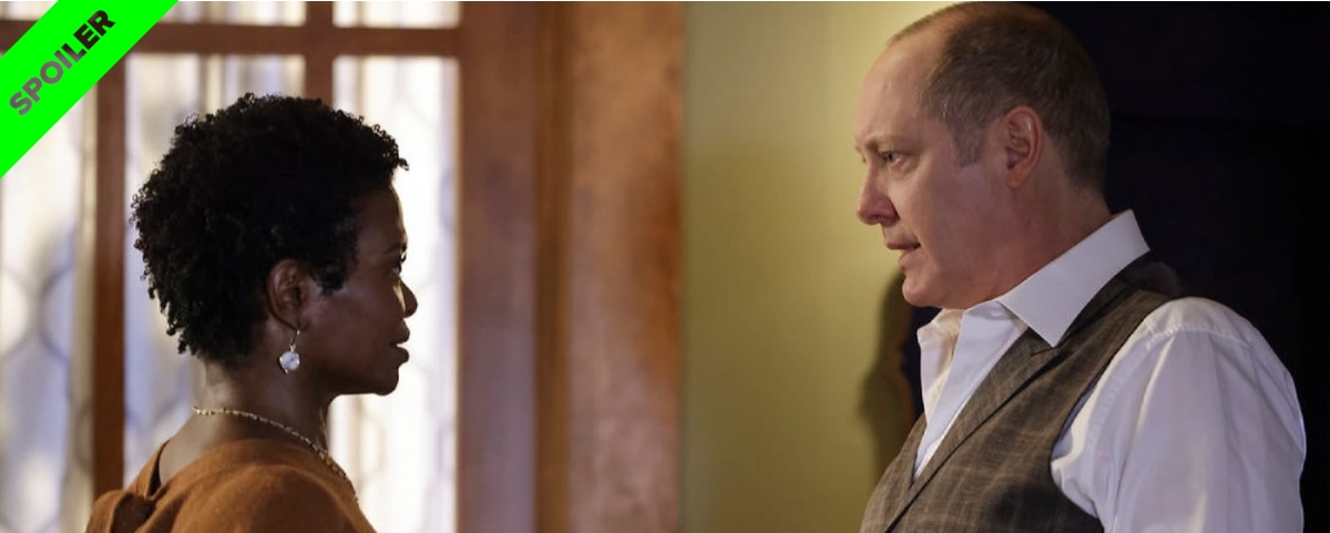 Imagem de: The Blacklist 8x13: relacionamento entre Anne e Red é destaque