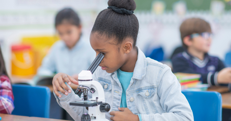 La iniciativa está dirigida a estudiantes de primaria.