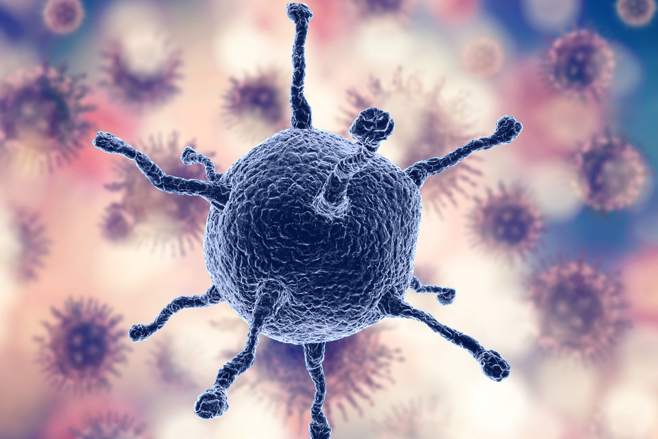 Checkpoints imunológicos: como eles agem no tratamento do câncer?