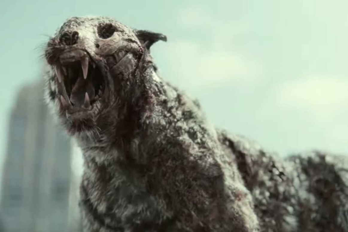 Army of the Dead: Netflix libera 15 minutos do filme; assista!