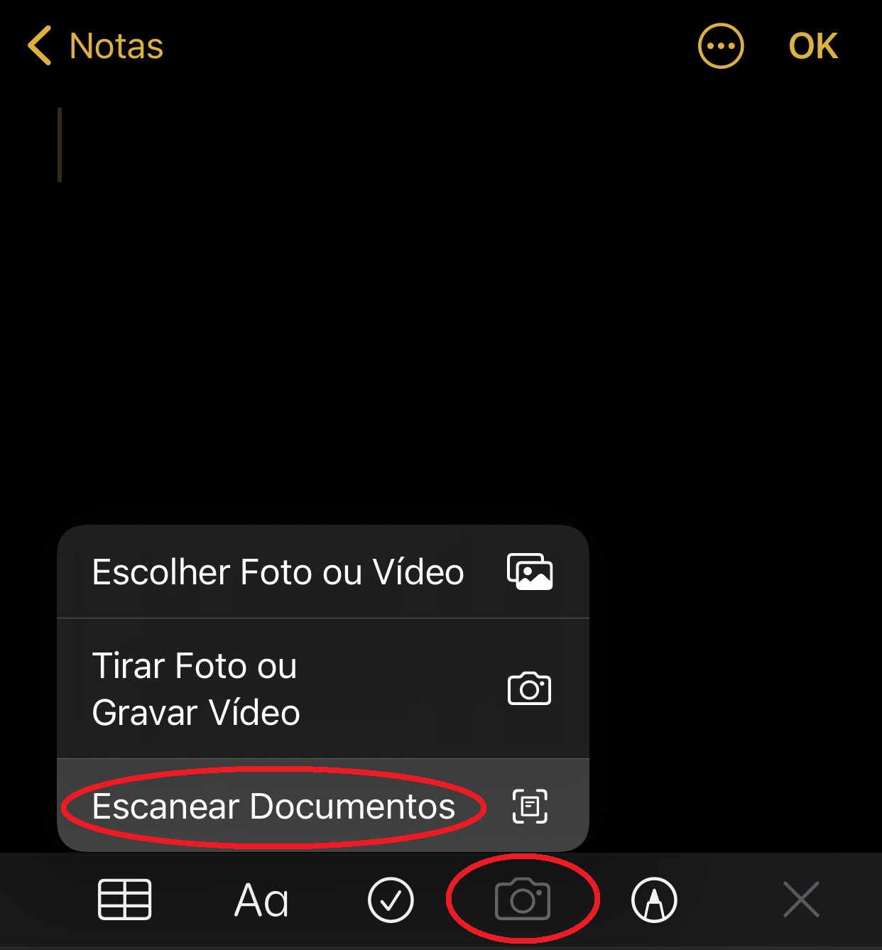 No ícone da câmera é possível encontrar a opção "Escanear Documentos"