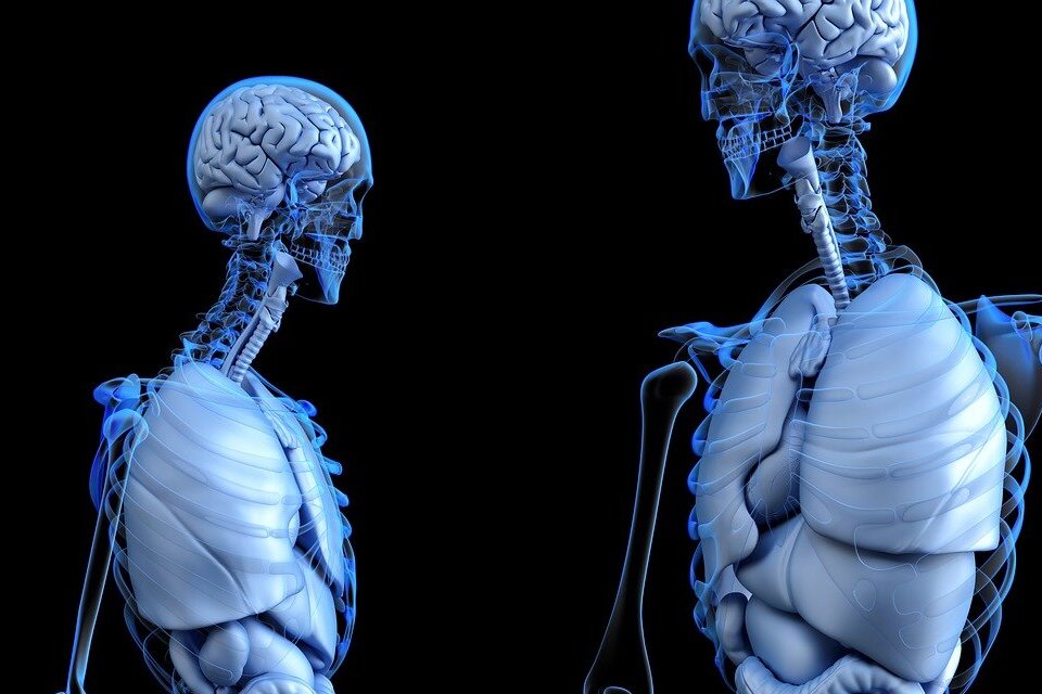 Inteligência artificial consegue prever risco de câncer de pulmão