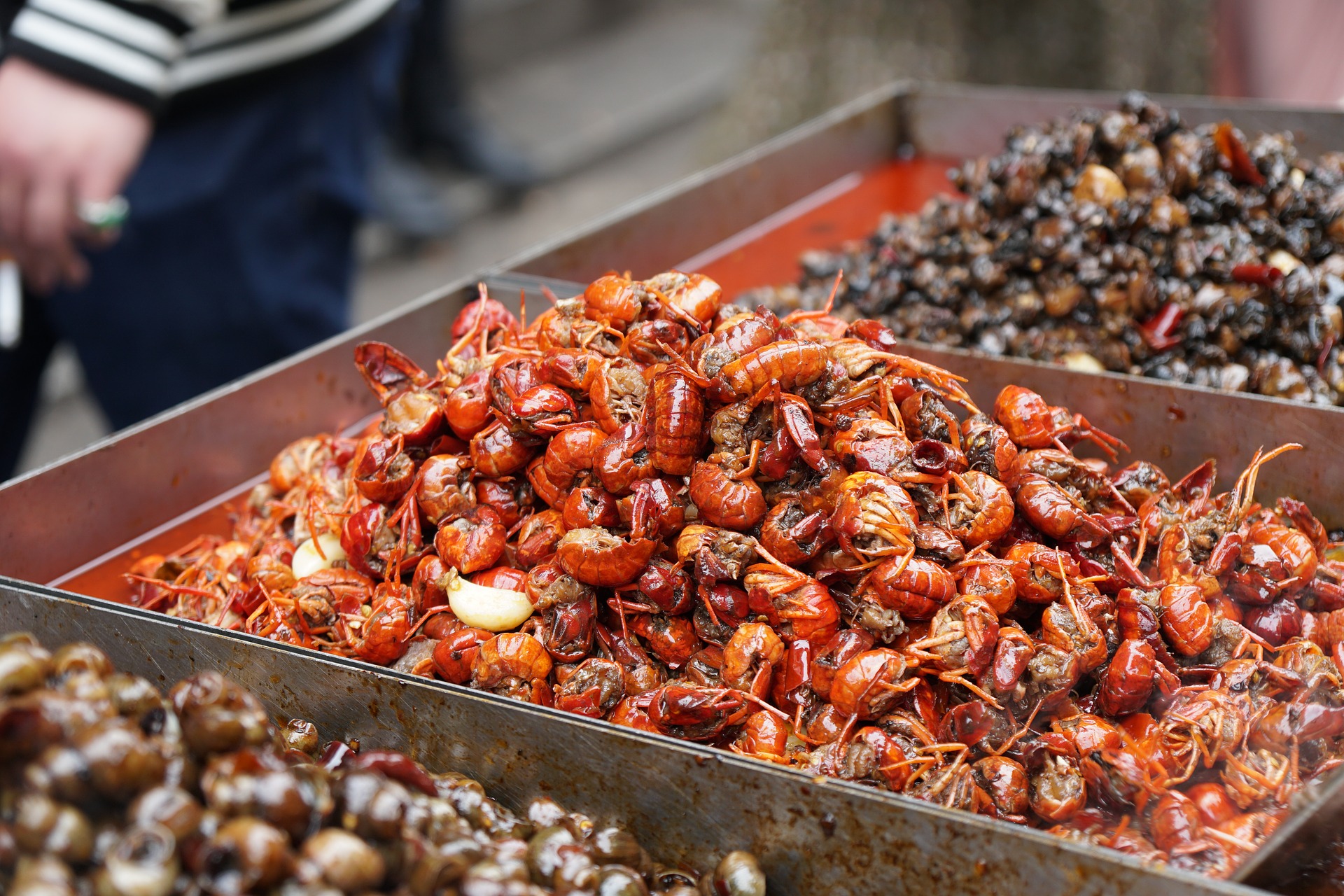 Lagostins em mercado de úmidos em Wuhan. O mercado de Huanan foi o primeiro local a registrar um surto de covid-19, em 2019.