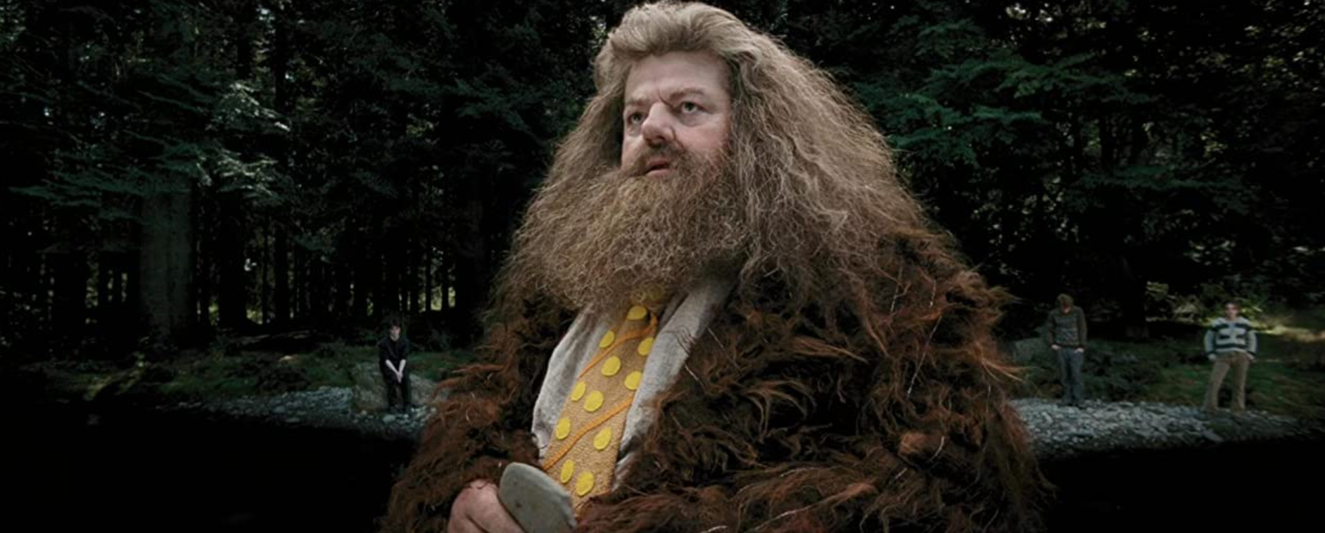 Robbie Coltrane as Rubeus Hagrid.