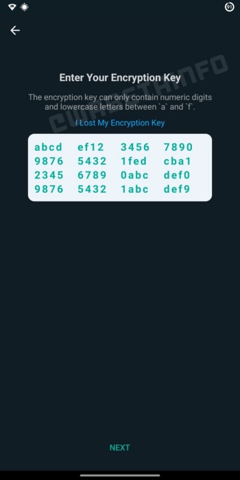 A chave hexadecimal ajudará a manter os backups protegidos dos acessos de terceiros.