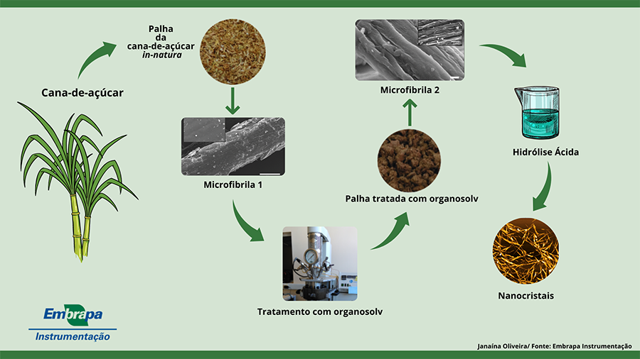 Cientistas Convertem Palha De Cana Em Nanocristais Fortes Como Aço Tecmundo