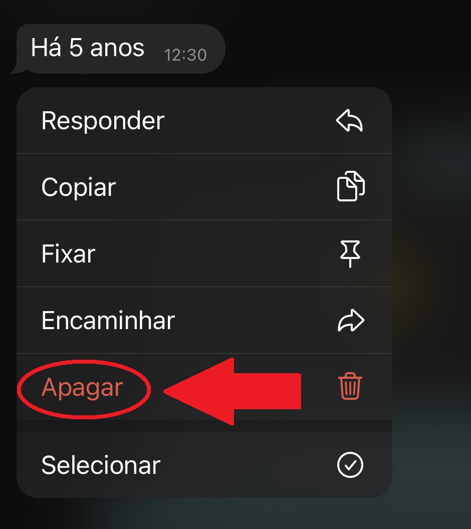 Aperte na opção "Apagar" para excluir a mensagem