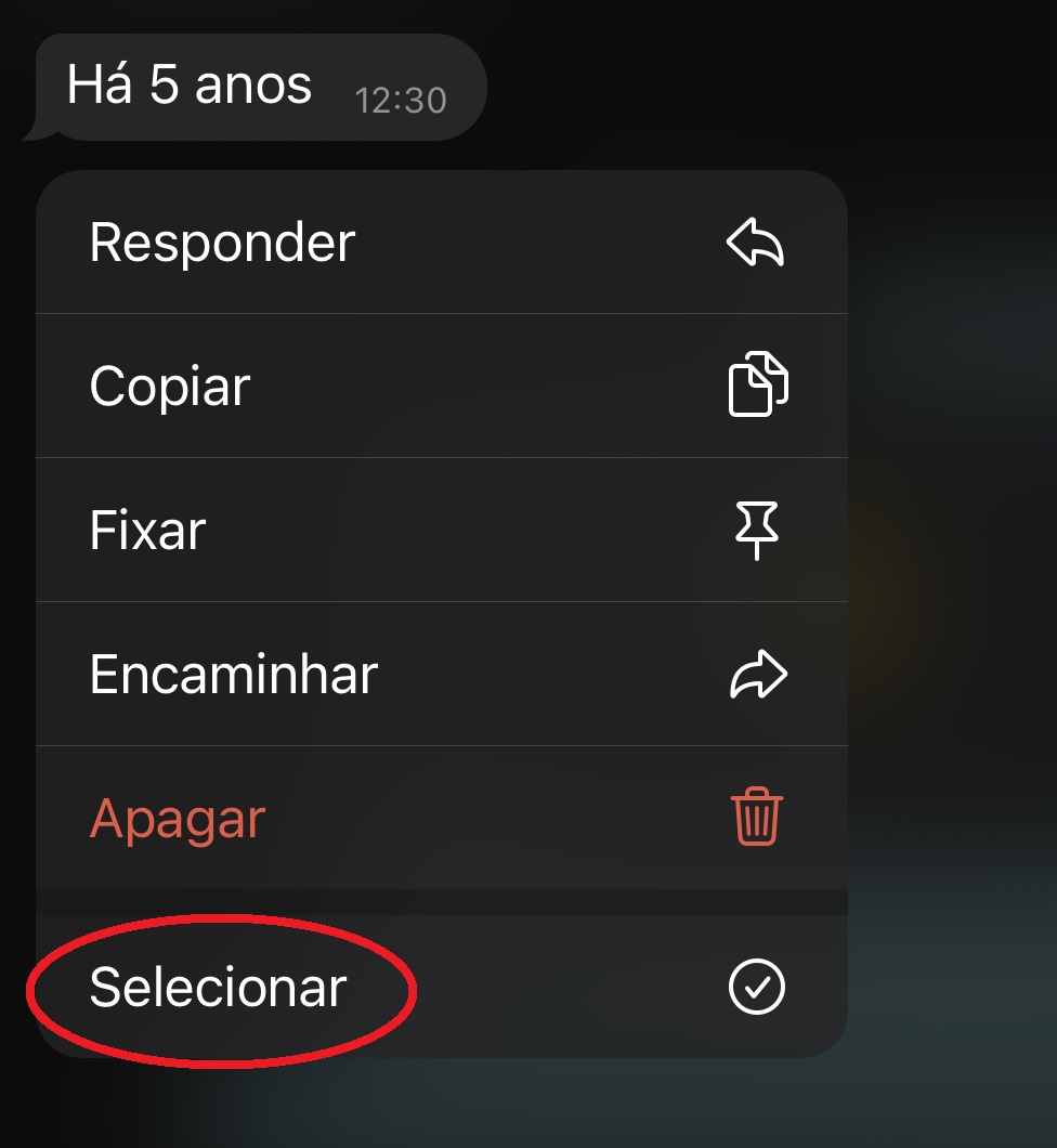 Depois de pressionar o dedo em cima de uma mensagem, aperte na opção "Selecionar"