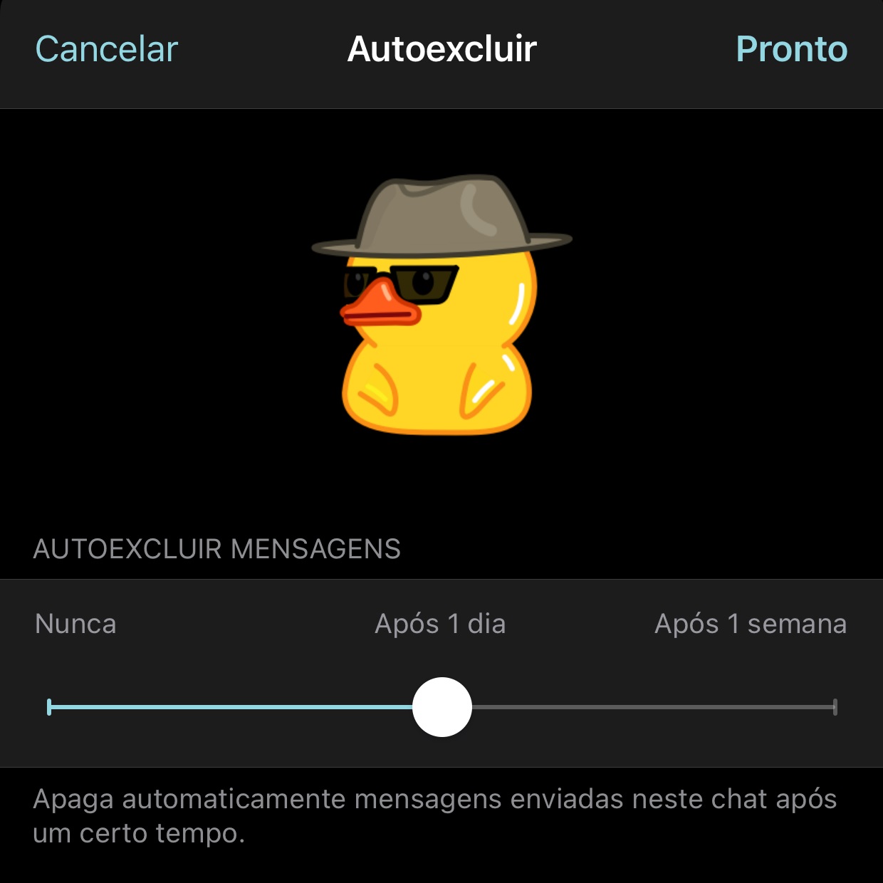 Selecione o perÃodo em que as mensagens serão automaticamente excluÃdas