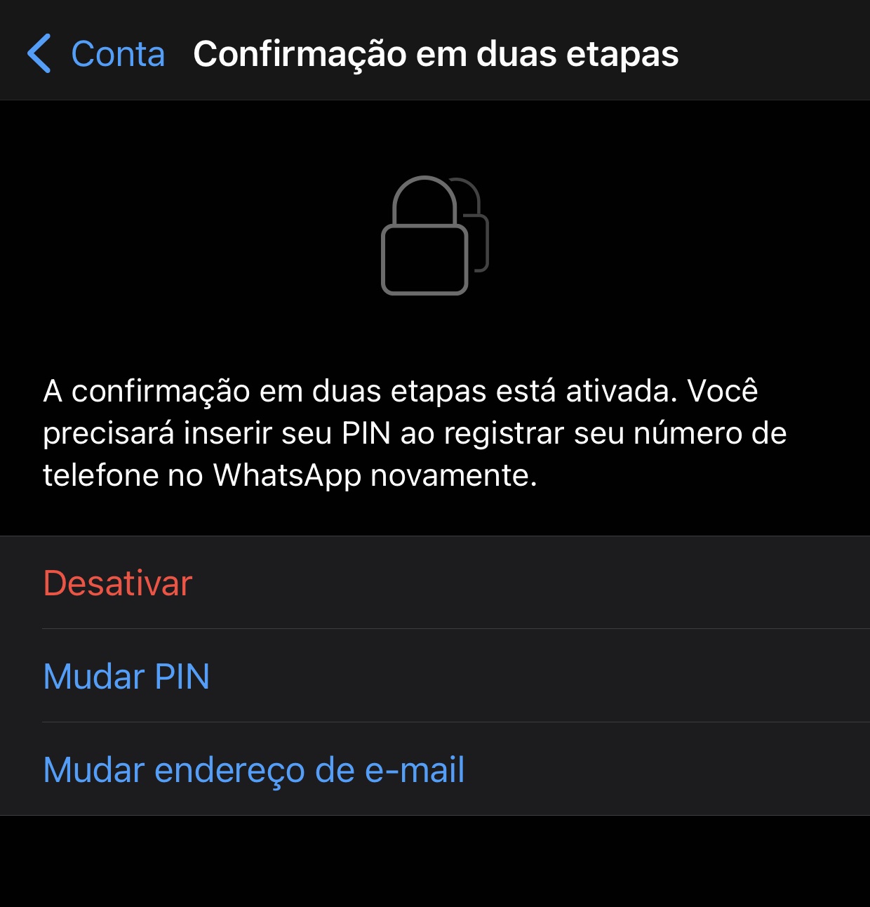 Depois de configurar o PIN e o e-mail, essa tela mostrará que a verificação em duas esta