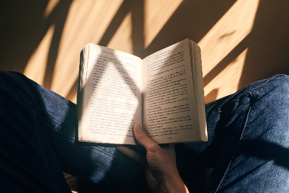 Livros distópicos que vão te prender do início ao fim - Vimarsana News
