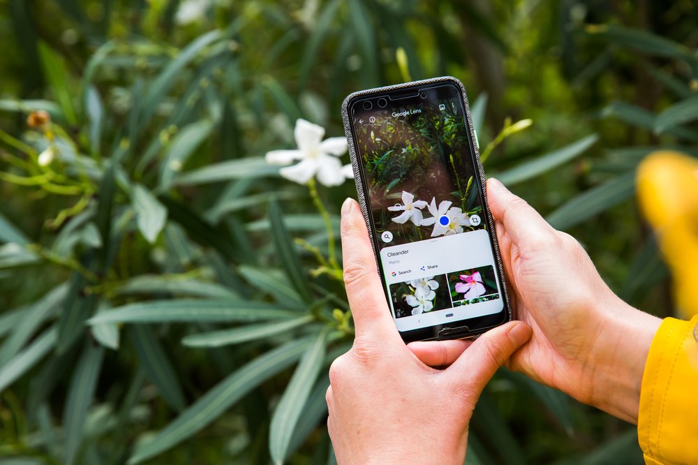 Google Lens can perform searches from an item's photo.