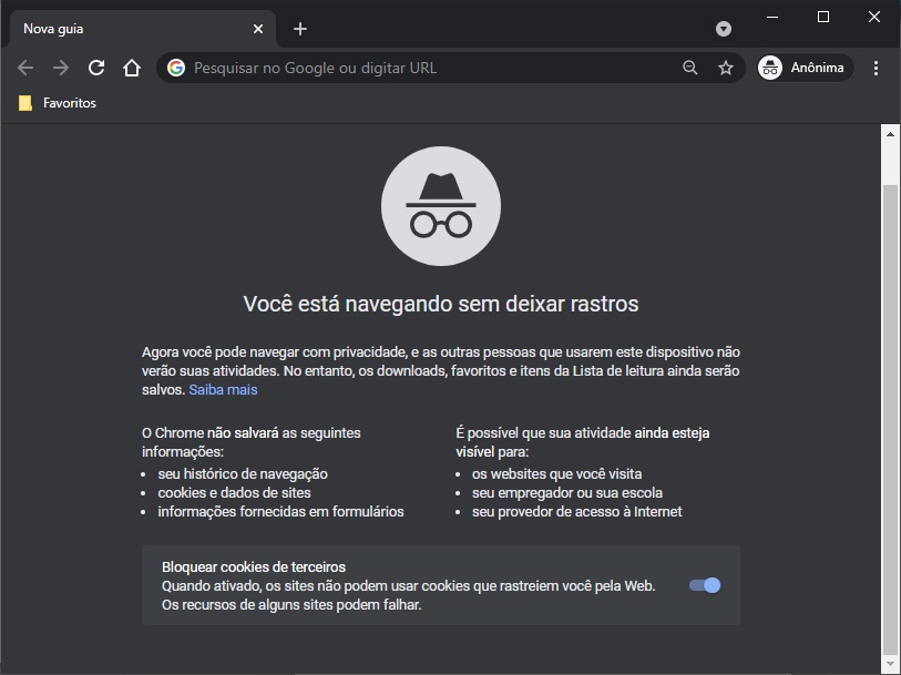 O modo anônimo do Chrome logo ao ser aberto.