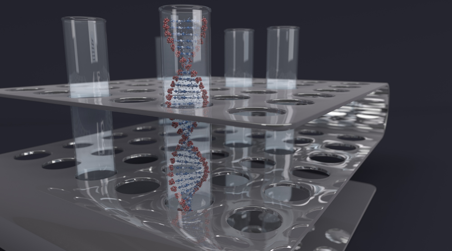 La tecnologia CRISPR è in grado di modificare il DNA.