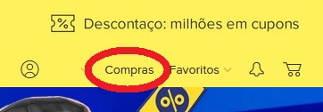 Uma vez logado no site, clique na opção