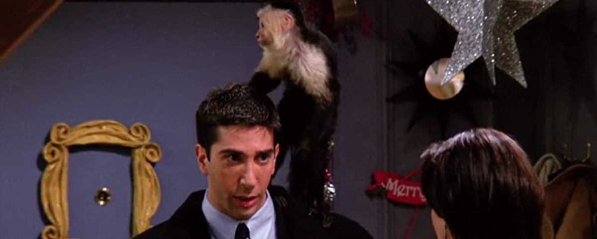 Imagem de: Friends: David Schwimmer é criticado por treinador do macaco Marcel